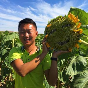 新疆三瑞(葫芦,食葵高产专家)头像