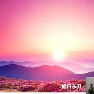 旭日东升头像
