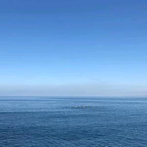 在水一方%头像