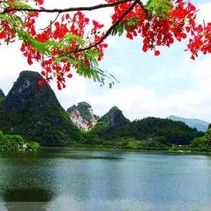 平安是福(拒合拍)