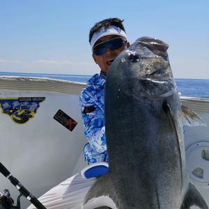 钩子hook 试钓员