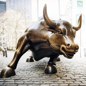 老牛了工作室头像