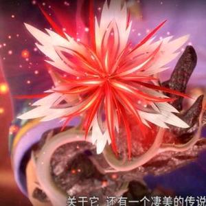 相思断肠头像