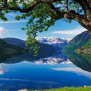 山路十八弯头像