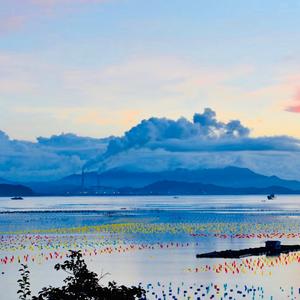 海岛未来之星头像