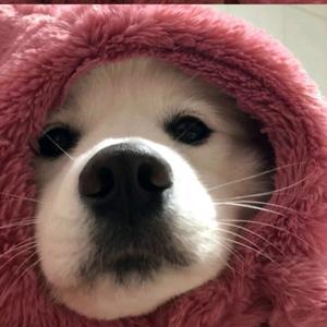 今天你发财了吗头像