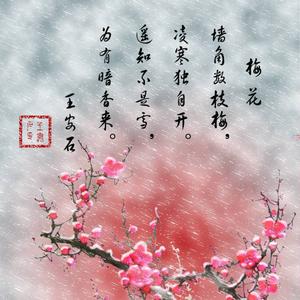 寒梅傲雪头像