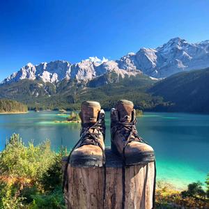 逆风飞翔的头像