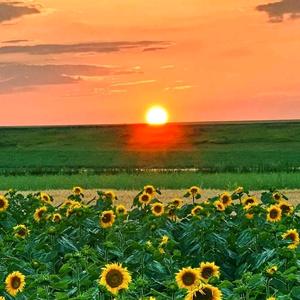 我是春天的阳光头像