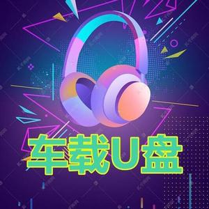 (车载优盘)头像