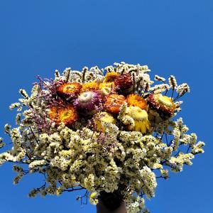 充满希望,!头像