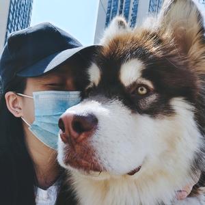 铁憨憨@亚瑟头像