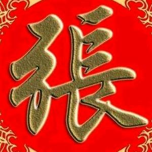 张氏新年头像图片