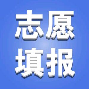 高考志愿山东于老师头像