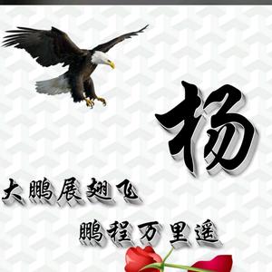 ★保定❤楊哥★的主頁 - 抖音