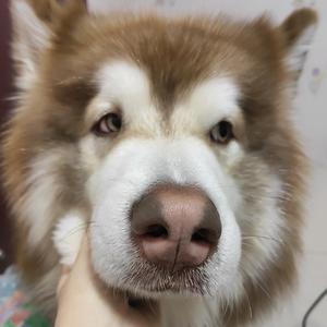 coco是个小眼怪头像