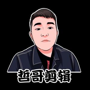 哲哥(高清剪辑)头像