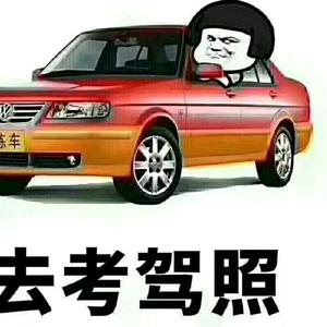 林姐华升学车头像