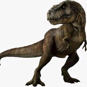 吃萝卜的霸王龙