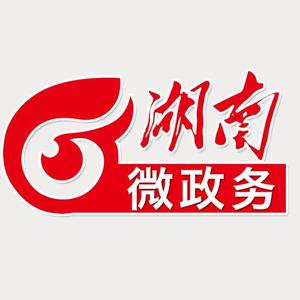 湖南微政务头像
