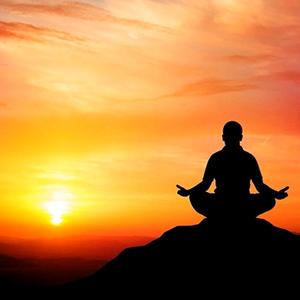 菩提树下人头像