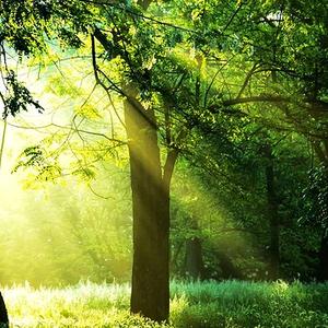 一格子阳光,╮头像