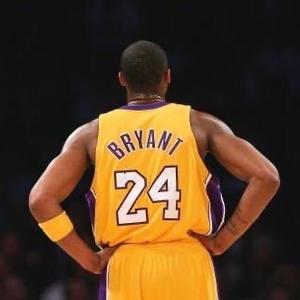 lakers小球迷头像