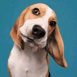 把爱埋葬在外太空头像