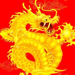 金龙头像