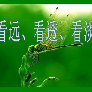看淡人生头像