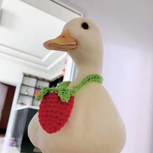 柯尔鸭招财～进宝头像