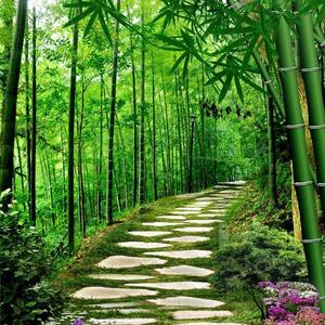 《琴》头像