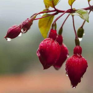 用户240142481头像