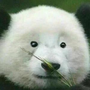 阿巴阿巴阿巴阿巴头像