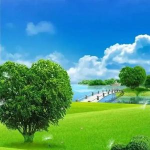 用户8566997004029头像