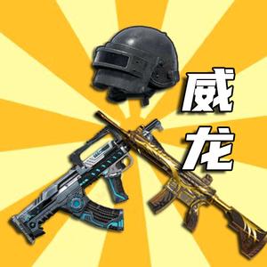 和平精英 测评员威龙头像