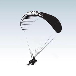 大伟大卫-滑翔伞头像