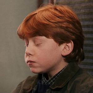 凯叔不会讲故事头像