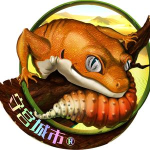 守宫城市官方账号 抖音号:  geckoscity 分享爬宠饲养,孵蛋,繁育体验!