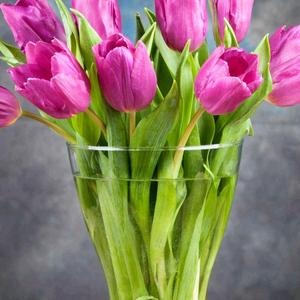 凋谢的红玫瑰头像