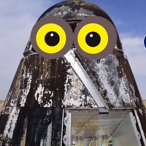 德州竞技tom dwan头像