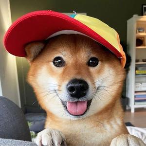 海洋之心7815的主页 - 抖音