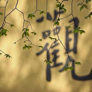 『功德人生』禅语头像