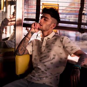 zayn z头像