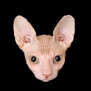 斯芬克斯吖头像