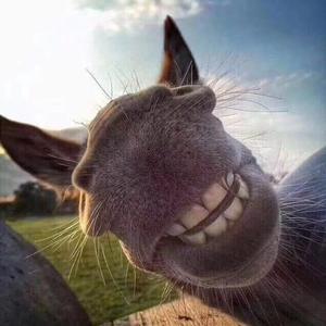 tt的主页 - 抖音