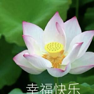 一生平安11头像