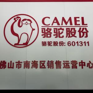 骆驼蓄电池-南海