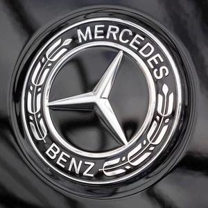 奔驰能上树头像