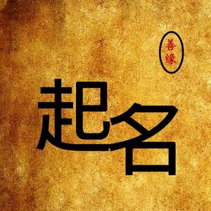 曾轶老师起名馆头像